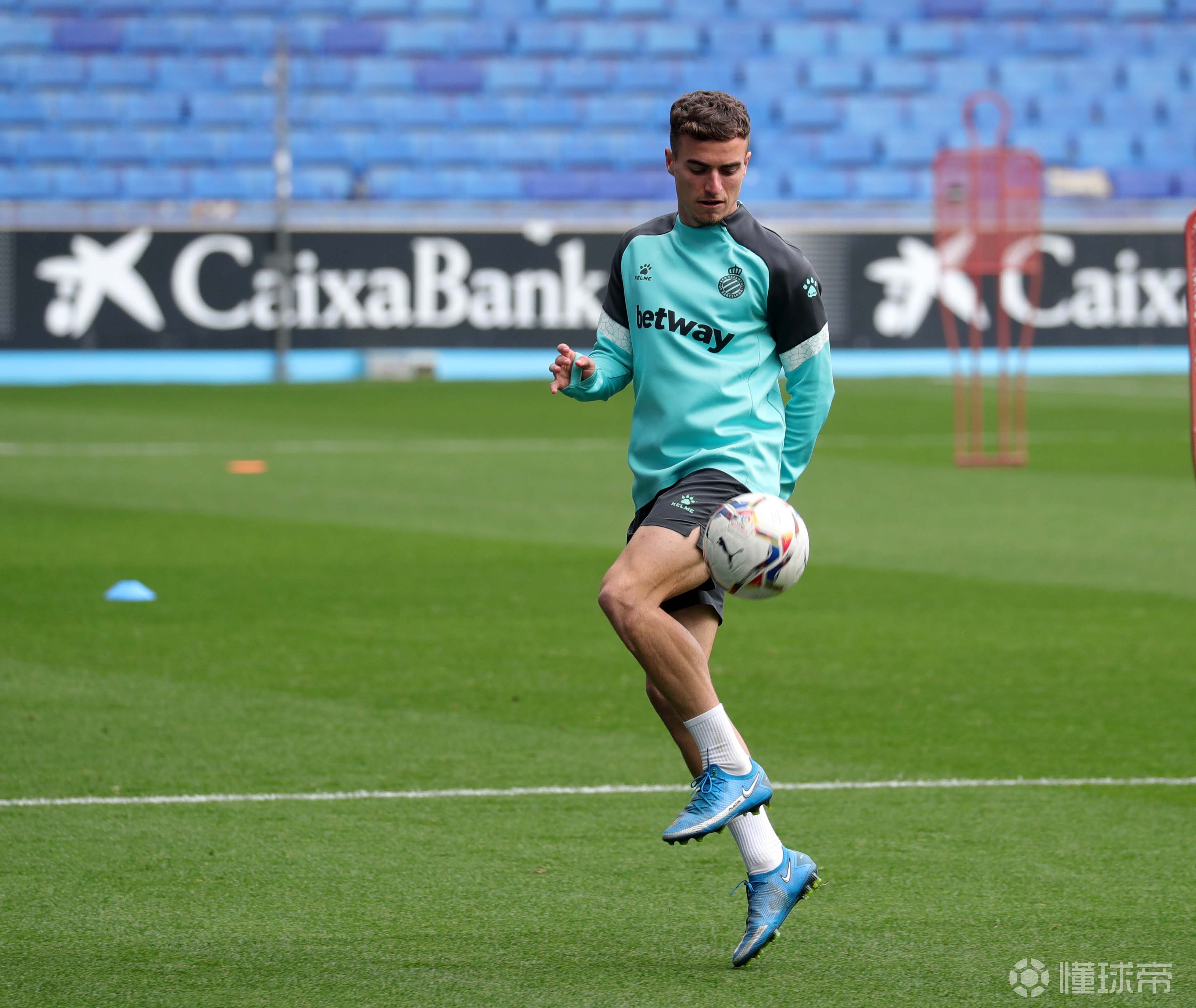 费尔南多内线高手，助队成功捍卫主场！的简单介绍