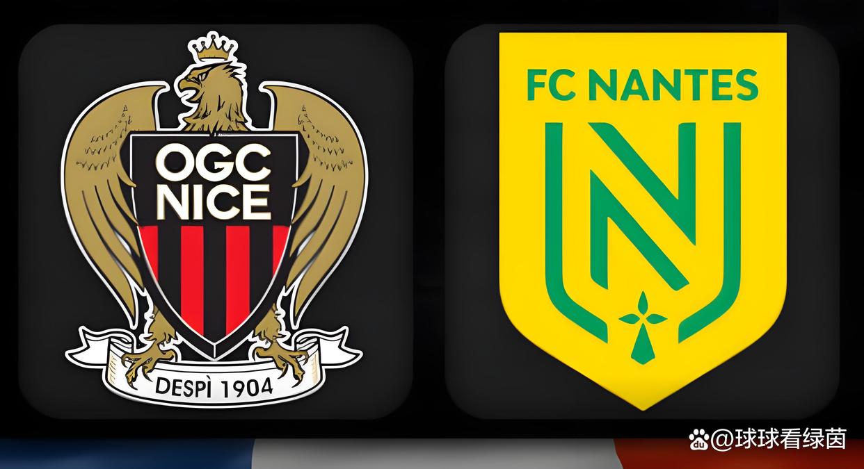 aoa体育娱乐-尼斯主场战胜南特，喜获三分