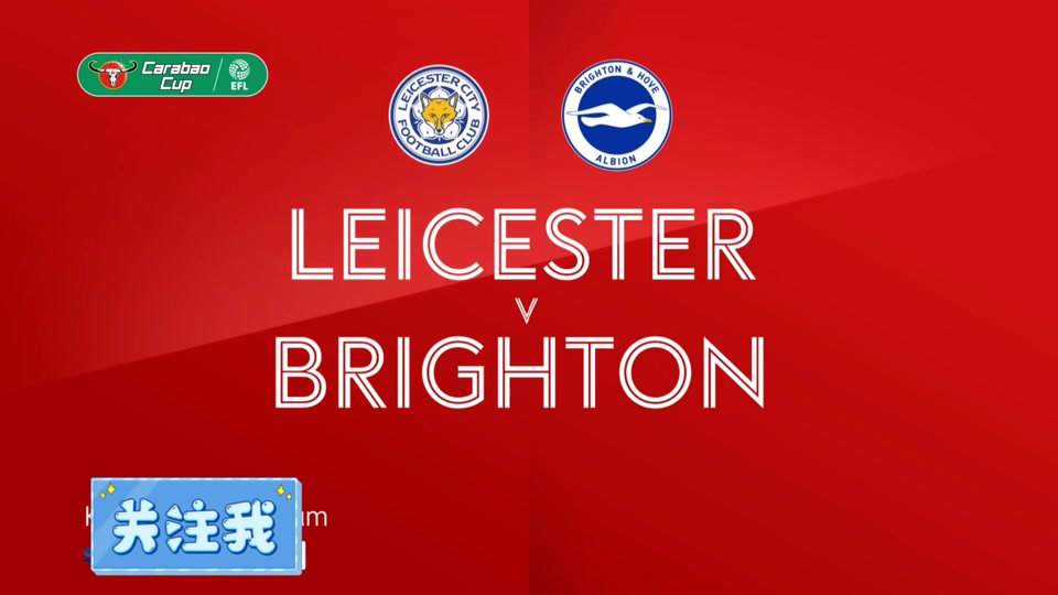 aoa体育馆-南安普顿主场不敌布莱顿，吞下败果