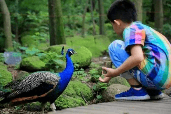 线上疯传的精彩瞬间让网友们尽情分享喜悦的简单介绍 线上疯传的精彩瞬间让网友们尽情分享喜悦的简单介绍